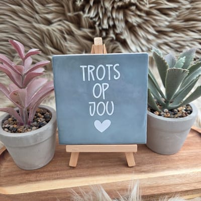 Robuust Wenstegeltje “Trots op Jou” – Lief Cadeautegeltje met Hartje – Trendy nu – Geslaagd – Vriend(in) – Familie – Gezin – Zomaar – Cadeau – Geslaagd