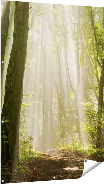 Gards Tuinposter Bos met Bomen en Zonneschijn - 100x150 cm - Tuindoek - Tuindecoratie - Wanddecoratie buiten - Tuinschilderij