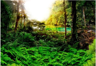 Fotobehangkoning - Behang - Vliesbehang - Fotobehang Tropische Jungle - Exotsich Paradijs - In tropics - 400 x 280 cm