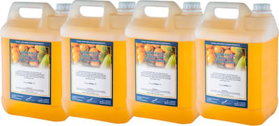 Douchegel Green Tea & Mandarin 5 liter - set van 4 stuks - Showergel - Navulling