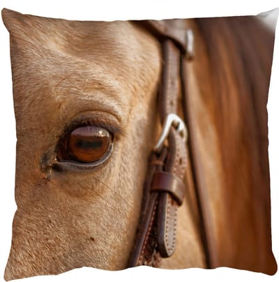 Sierkussens - Kussentjes Woonkamer - 50x50 cm - Paard - Oog - Bruin