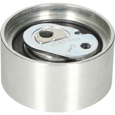 Tandriempoelie DAYCO ATB2306