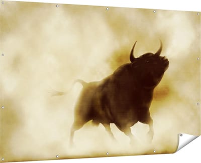 Gards Tuinposter Zwarte Stier in het Stoffige Rook - 180x120 cm - Tuindoek - Tuindecoratie - Wanddecoratie buiten - Tuinschilderij