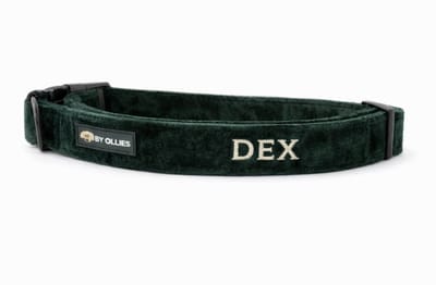 By Ollies halsband velvet Darkgreen - Maat S breedte 2 cm, lengte 28 – 43 cm - Wandelen - Naam
