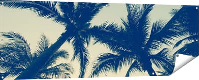 Gards Tuinposter Palmbomen Bladeren - 180x60 cm - Tuindoek - Tuindecoratie - Wanddecoratie buiten - Tuinschilderij