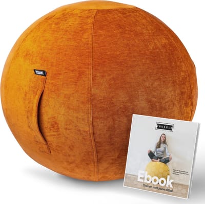 Fruscle® 65 cm Zitbal - Zwangerschapsbal - Ergonomische bureaustoel - Thuiskantoor zitzak - Rugpijn - met Ebook