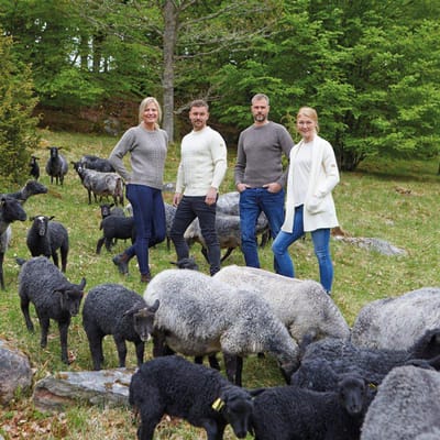 Ivanhoe trui NLS Petal Nutmeg heren - 100% zuivere ongeverfde wol