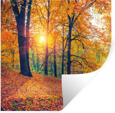 Muurstickers - Sticker Folie - Bomen - Herfst - Bos - Herfstbladeren - 100x100 cm - Plakfolie - Muurstickers Kinderkamer - Zelfklevend Behang XXL - Zelfklevend behangpapier - Stickerfolie