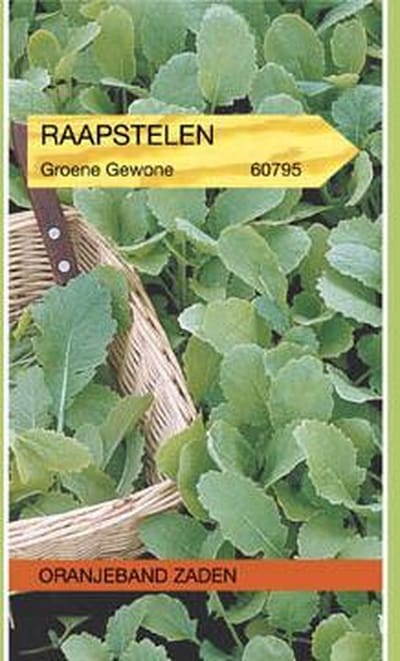 Raapsteel Groene Gewone