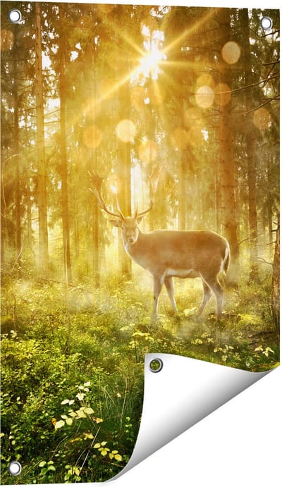 Gards Tuinposter Hert in Bos met Zon - 40x60 cm - Tuindoek - Tuindecoratie - Wanddecoratie buiten - Tuinschilderij