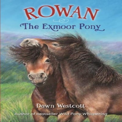 Rowan De Exmoor Pony door Dawn Westcott Paperback Boek 9780857043573