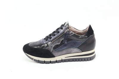 DLSport 6725 versione 01
