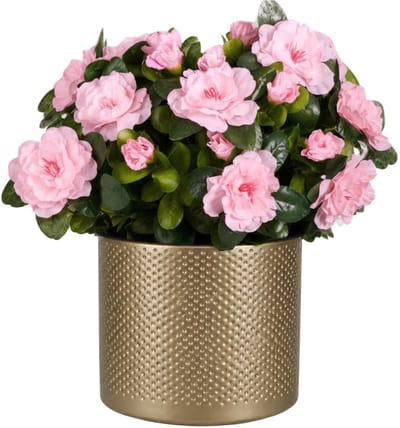 Mica Decorations Kunstplant - Azalea roze - H31 cm - in gouden bloempot - keramiek - complete set van pot en plant - decoratie stuk