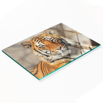 Decoratieve glazen keukensnijplank met Bengaalse tijgermotief, 80x52 cm