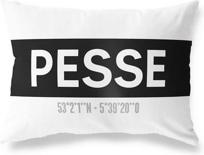 Tuinkussen PESSE - DRENTHE met coördinaten - Buitenkussen - Bootkussen - Weerbestendig - Jouw Plaats - Studio216 - Modern - Zwart-Wit - 50x30cm