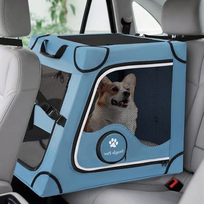 Opvouwbare transportbox - Hondenbox auto - Veilig reizen huisdier - Stevig metalen frame - 63 cm lengte - Blauw
