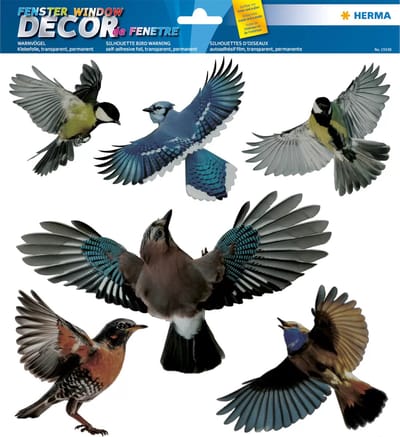 Venster decoratie vogel kleurrijk, 30x30 cm