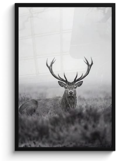 Poster in lijst - Fotolijst 60x90 cm - Posters - Hert - Mistig - Zwart - Wit - Posterlijst zwart - Decoratie - Wanddecoratie woonkamer - Muurdecoratie slaapkamer