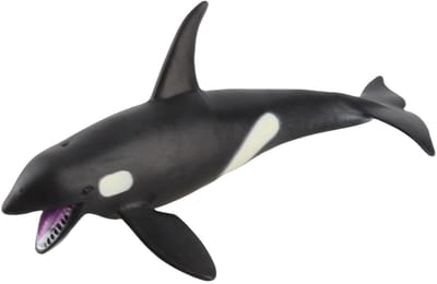 Allecto - Killer Whale Model - Educatief Speelgoed - Realistisch Dier - Decoratie - Cadeau Voor Kinderen - Miniatuurfiguur - Geschikt Voor Thuis