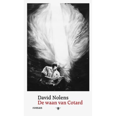 De Waan Van Cotard - David Nolens