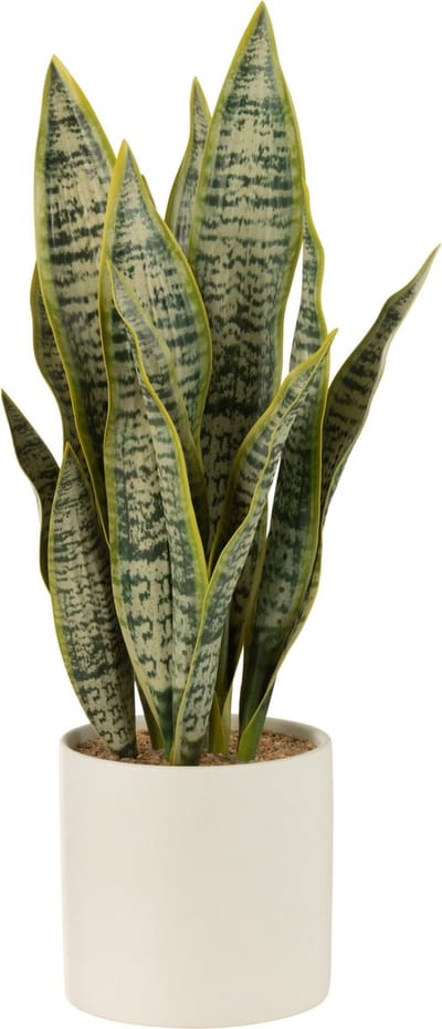 J-Line plant Sansevieria in pot - kunststof - groen - large
