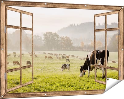 Gards Tuinposter Doorkijk Zwart Witte Koeien in de Wei - 150x100 cm - Tuindoek - Tuindecoratie - Wanddecoratie buiten - Tuinschilderij