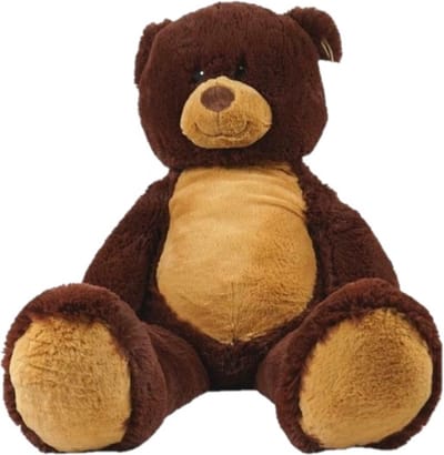 Teddybeer 100 cm XXL – Grote Knuffelbeer – Bruine Pluche Beer – Super Zacht – Cadeau voor Kinderen