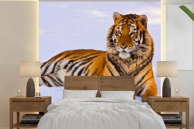 Behang - Fotobehang Tijger - Sneeuw - Winter - Dieren - Breedte 240 cm x hoogte 240 cm
