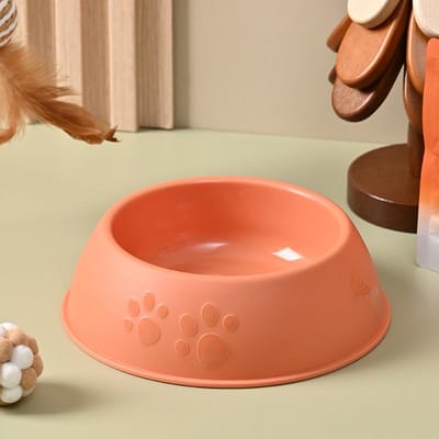 Kattenbak Hondenschaal Huisdier Roestvrij Staal Enkele Kom Anti-slip Anti-kantel Huisdierkom Hond Voedsel Servies Huisdierbenodigdheden L 22.5*6cm