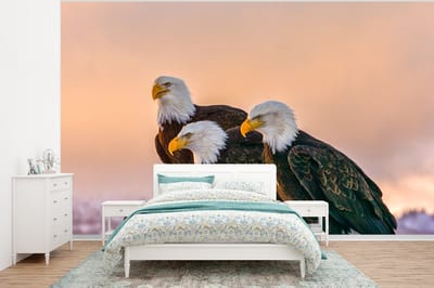 Behang - Fotobehang Vogels - Natuur - Roofvogels - Arend - Breedte 295 cm x hoogte 220 cm