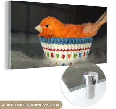 MuchoWow® Glasschilderij 40x20 cm - Schilderij acrylglas - Vogel - Cupcake vormpjes - Portret - Foto op glas - Schilderijen