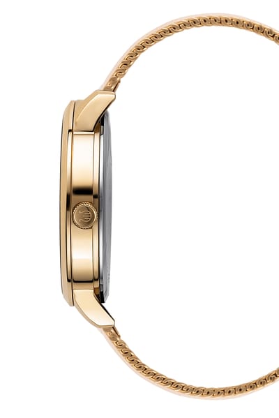 Orphelia Winston OR62904 Horloge - Staal - Goudkleurig - Ø 42 mm