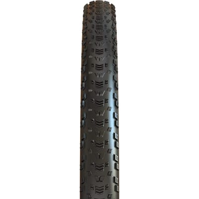 Zachte band Maxxis Aspen MaxxSpeed / Exo / Tubeless Ready 120 TPI