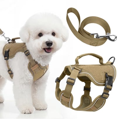 Tuigje voor kleine honden met riem, kaki, maat XXS