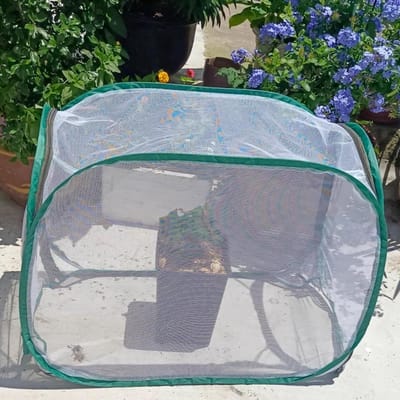 Pop-up kas - Plantenkas gaas - Planten beschermen - Snelle installatie - Verschillende maten - Groen