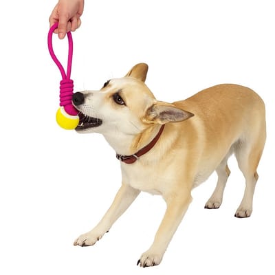 Jack and Vanilla Hondenspeelgoed - Puppyspeelgoed - Hondentouw met bal - Hondenbal - Lengte 35 cm - Rood