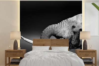 Behang - Fotobehang Olifant - Water - Dieren - Zwart - Wit - Breedte 350 cm x hoogte 350 cm