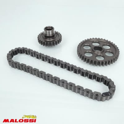 Malossi-achteras voor scooters 312, 500, 8698, modeljaar 2001 t/m 2011, 6714757, Power Transmission MHR 26x40, nieuw