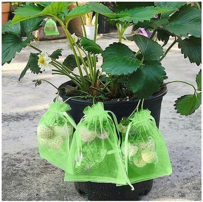 Beschermzakken Fruit - Plantennetjes Tuin - Bescherming Groente - Ademend Mesh Materiaal - 10x15cm 20 stuks - Groen