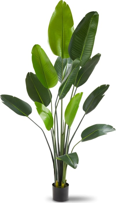 tectake® Kunstmatige Paradijsvogelboom Tropic – Strelitzia - Natuurgetrouwe Kunstplant met Gedetailleerde Bladeren en Stevige Bloempot – Onderhoudsvriendelijk en Veelzijdig – Hoogte: 180 cm