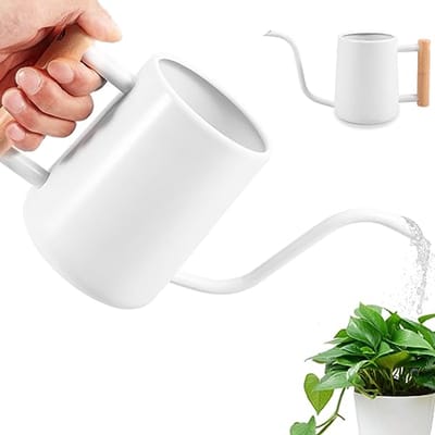 Roestvrijstalen plantengieter met lange uitloop en houten handgreep - 1 liter voor kamerplanten en tuin