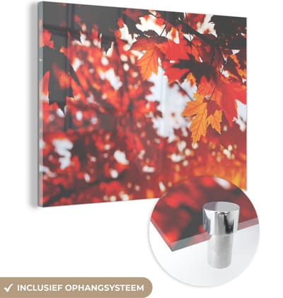 MuchoWow® Glasschilderij 40x30 cm - Schilderij acrylglas - Herfstbladeren - Landelijke decoratie - Zon - Foto op glas - Schilderijen