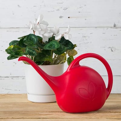 1/2 Gallon Indoor Watering Can with Curved Handle