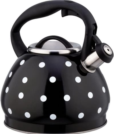Waterkoker Fluitketel - Theepot RVS - Snel Water Koken - Anti-hitte Handvat - 3 Liter - Zwart