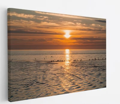 Saammp Canvas Schilderij - Vogels op een zandbank - Strand - Landschap - Natuur - 45x30 - Foto op canvas - Wanddecoratie - Muurdecoratie Woonkamer - Slaapkamer decoratie - Canvas Print