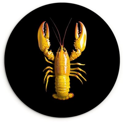 WallCircle® Wandcirkel 120x120 cm - Muurcirkel Kreeft - Geel - Stippen - Effen - Muurdecoratie woonkamer - Wanddecoratie slaapkamer - Kamer decoratie accessoires - Ronde schilderijen XXL