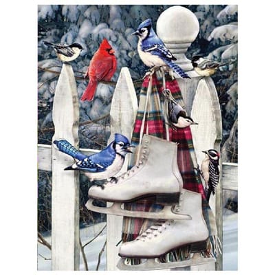 Peinture Diamant 5D DIY Ronde Complète Animal Oiseau Patins Image Broderie Diamant 20X30CM gray