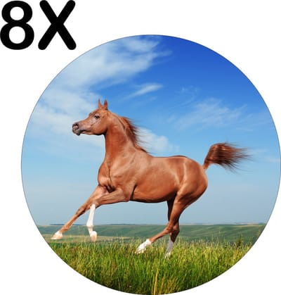 Luxe Ronde Placemat - Paard Gallopperend door het Groene Gras - Set van 8 Placemats - 50x50 cm - 2 mm dik Vinyl - Anti Slip - Afneembaar