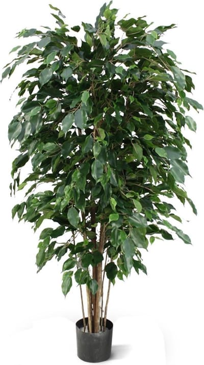 Ficus Exotica deluxe kunstplant 150cm - groen
