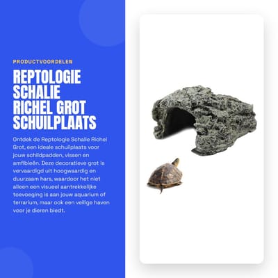 Dailygoods- Schuilplaats Schalie Richel Grot - Decoratieve Harsgrot - Voor Schildpadden/Amfibieën/Vissen - Geschikt voor Aquaria/Terraria - Duurzaam Materiaal - Realistische Omgeving - Aquariumdecoratie